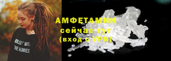 молекула духа Горняк