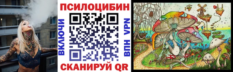 Псилоцибиновые грибы прущие грибы Купить где Княгинино