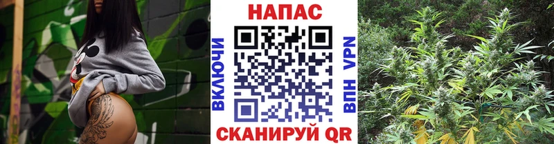 Канабис Ganja Купить закладки Княгинино